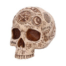 Apothecary Skull Figurine 14cm 2