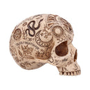 Apothecary Skull Figurine 14cm 3