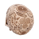 Apothecary Skull Figurine 14cm 4