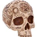 Apothecary Skull Figurine 14cm 5