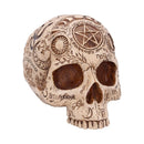 Apothecary Skull Figurine 14cm 1
