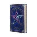 The Book of Shadows Journal by Anne Stokes 17cm 2