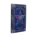 The Book of Shadows Journal by Anne Stokes 17cm 4