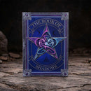The Book of Shadows Journal by Anne Stokes 17cm 7