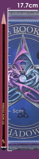 The Book of Shadows Journal by Anne Stokes 17cm 8