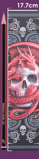 Anne Stokes Skull Embrace Journal 17.7cm 8