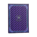 Anne Stokes Welcome Hatchling Journal 17.7cm 3