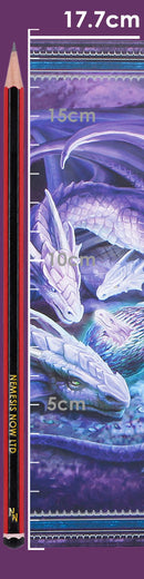 Anne Stokes Welcome Hatchling Journal 17.7cm 8