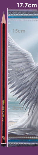 Anne Stokes Spirit Guide Journal 17.7cm 8