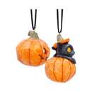 Pumpkin and Patch Halloween Hanging Ornaments Set of Two 7.7cm 3
