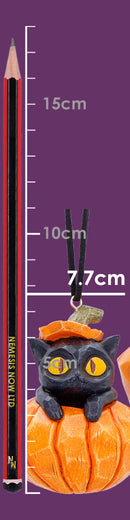 Pumpkin and Patch Halloween Hanging Ornaments Set of Two 7.7cm 7