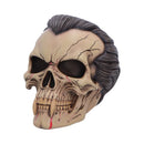 Hall of Horrors The Lord of the Night Dracula Skull 15.4cm 2