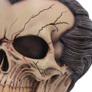 Hall of Horrors The Lord of the Night Dracula Skull 15.4cm 6