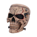Hall of Horrors The Monster of Madness Skull 15.1cm 2