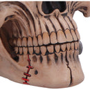 Hall of Horrors The Monster of Madness Skull 15.1cm 5