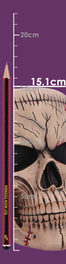 Hall of Horrors The Monster of Madness Skull 15.1cm 8