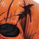 Hall of Horrors The Spirit of Halloween Pumpkin Skull 17.5cm 6
