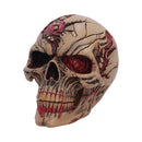 Hall of Horrors The Walker of Death Zombie Skull 15.5cm 2