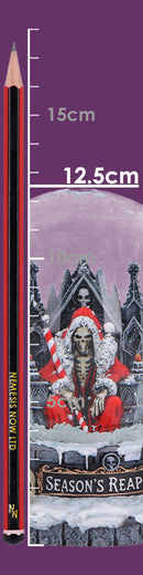Silent Nightmares Seasons Reapings Christmas Reaper Snow Globe 12.5cm 8
