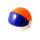 Beach Ball Adult Multi_2 