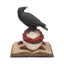 Heartaches Reflection Raven Figurine Skull Rose Valentine Ornament 17cm 4