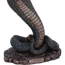 Bronze Mythological Medusas Wrath Figurine 36cm Medusa 6