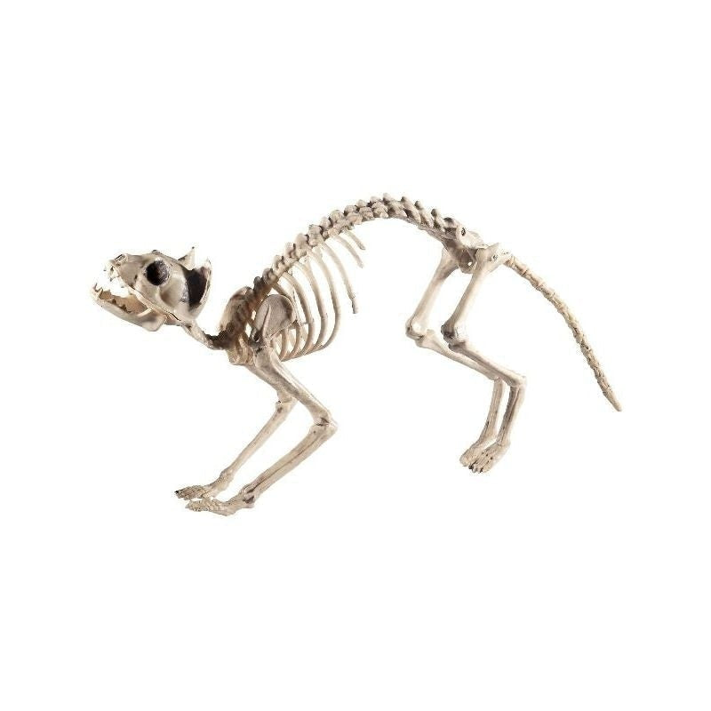 Cat Skeleton Prop Adult Natural_2 