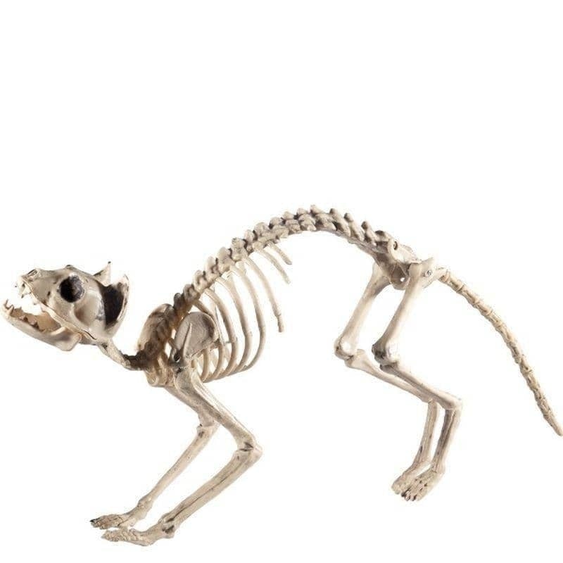 Cat Skeleton Prop Adult Natural_1 sm-46913