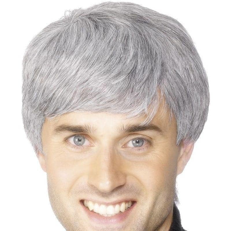 Corporate Wig Adult Grey_1 sm-42209