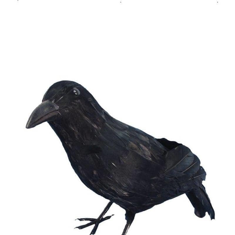 Crow Adult Black_1 sm-20739