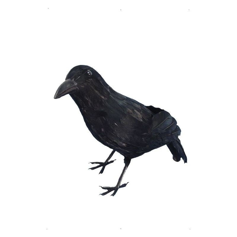 Crow Adult Black_2 