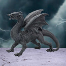 Nemesis Now Obsidian Dragon Watcher 31cm Polyresin Statue 7