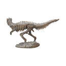 T Rex Dinosaur Small Figurine 33cm Resin Skeleton 4