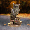 Ulula Bronze Academic Owl Figurine 23cm 5