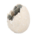 Wyrmlings Dragon Egg First Light 12cm 2