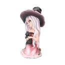 Rosa Figurine Witch Black Cat Ornament 15cm 2