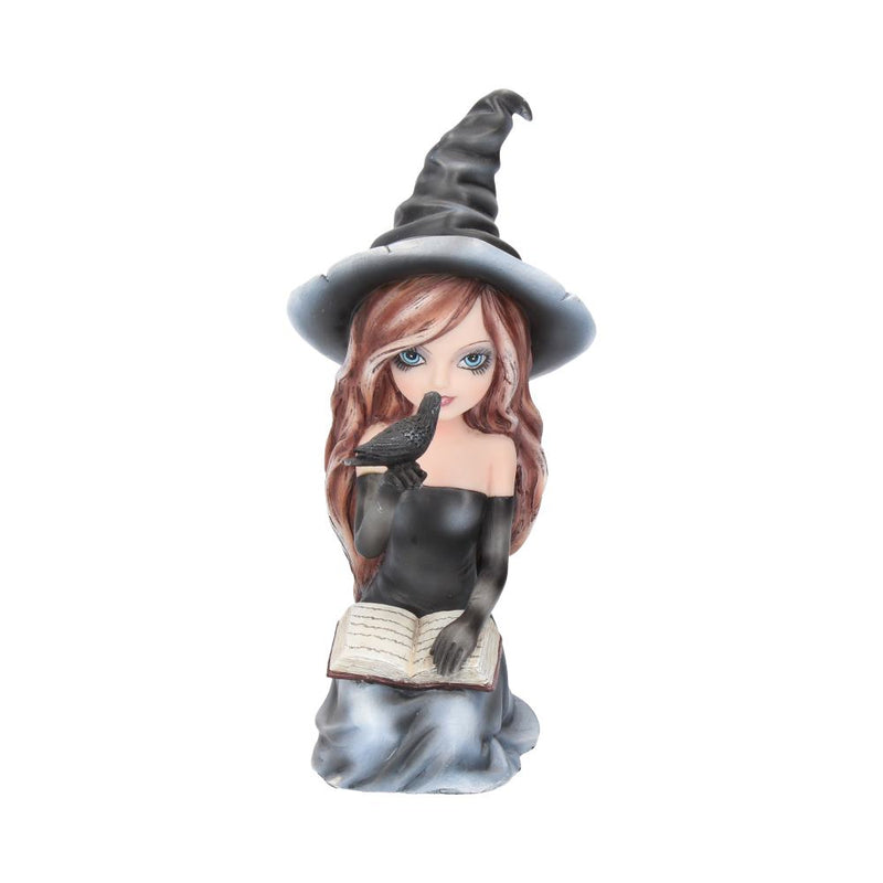 Regan Witch  Her Raven Figurine 15cm