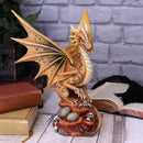 Adult Desert Dragon Figurine By Anne Stokes 24.5cm 5