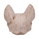 Bastets Secret Cat Skull Figurine Ornament 15cm 3