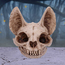 Bastets Secret Cat Skull Figurine Ornament 15cm 5