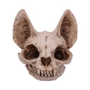 Bastets Secret Cat Skull Figurine Ornament Bastets 15cm