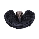 Edgar Allen Poes Nevermore Raven Skull Trinket Holder Jewellery Dish Edgars 17cm