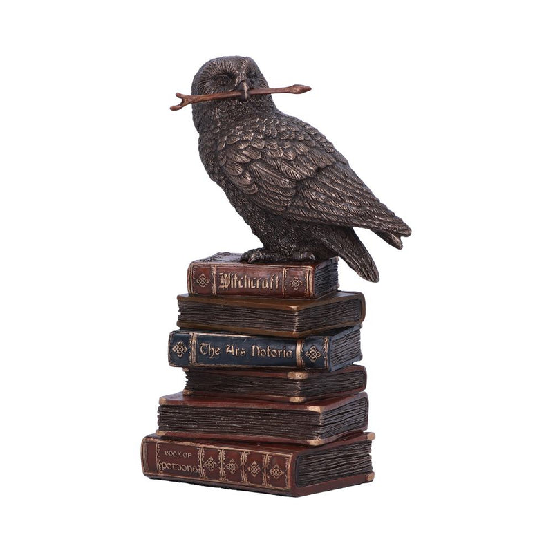 Bronze Spellcraft Witches Familiar Owl on Book Figurine 14cm