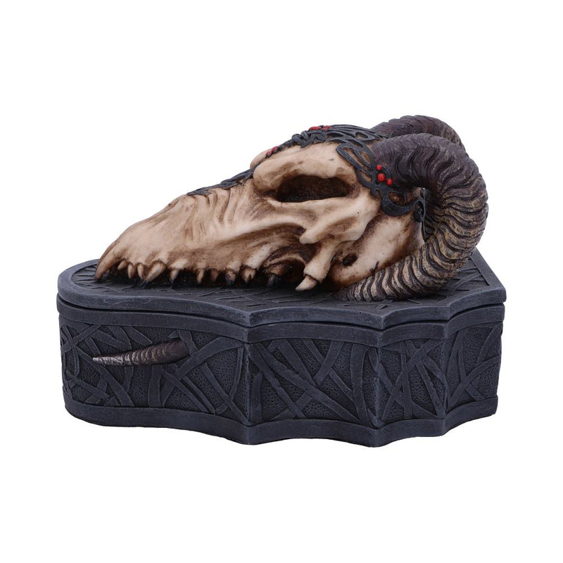 Dragon Skull Box Monte Moore 177cm