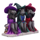 Three Wise Witchy Kittys Ornament 15.3cm 4