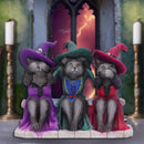 Three Wise Witchy Kittys Ornament 15.3cm 7