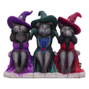Three Wise Witchy Kittys Ornament 15.3cm