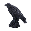 Raven Messenger Figurine 25cm 2