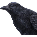 Raven Messenger Figurine 25cm 5