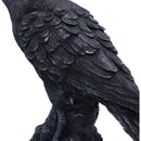 Raven Messenger Figurine 25cm 6